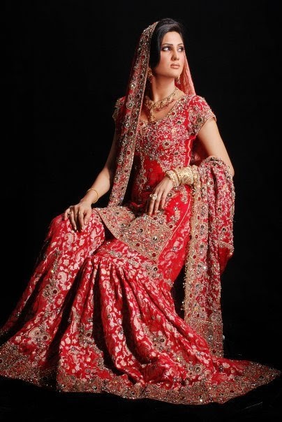 Pakistani Bridal Gharara |The Bridal Club Is All About Bridal