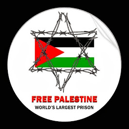 Palestina Livre: Eu apoio!