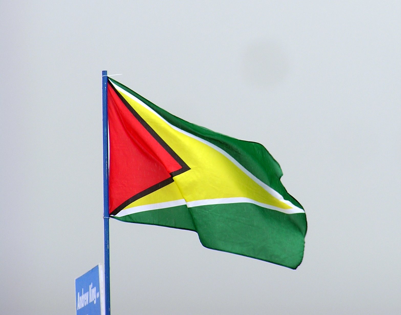 The Flag Of Guyana History Meaning And Symbolism vrogue.co