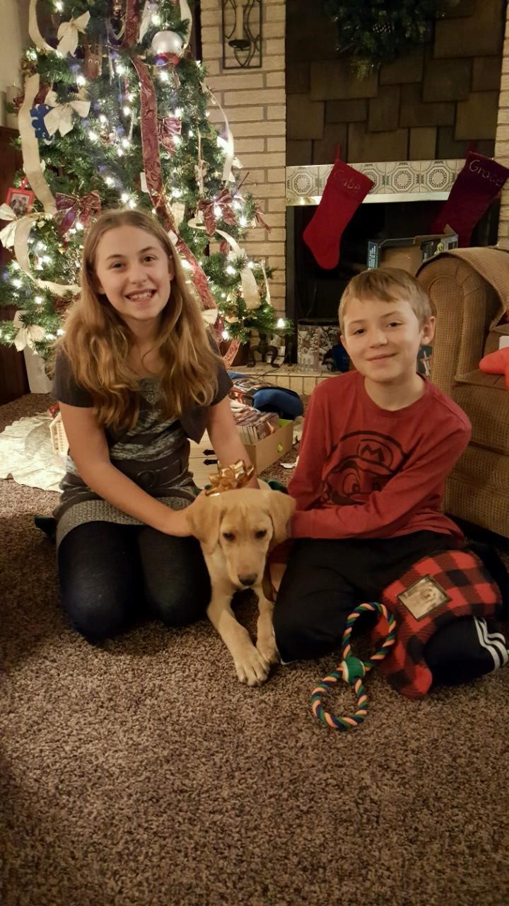 HARTLAND KENNELS Customers Photos