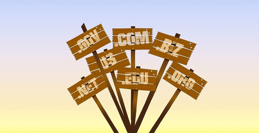web hosting services