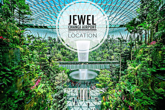 Jewel Changi Airport Review : 14 Best Photography Locations