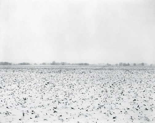 from "Illinois landscapes" - 2014 - photo by Rhondal Mckinney | black and white photography inspiration | landscapes | artSelecta from "Illinois landscapes" - 2014 - photo by Rhondal Mckinney | sad winter black and white photos | imagenes bellas de soledad y tristeza, fotos en blanco y negro bonitas