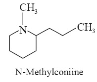 N-Methylconiine