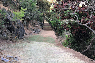 "  Tiger Path also known as the "Old cart wheel road" the oldest trail of Mount Abu."