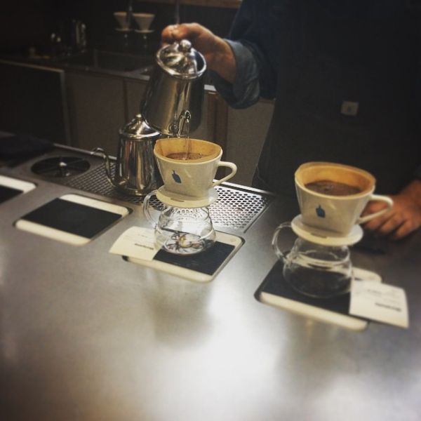 THE BIRD OF WOUNDS Bonmac Dripper The History & Brewing Guide