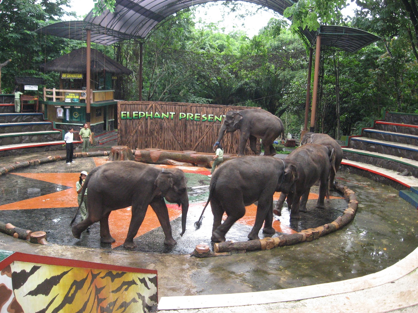 Taman Safari Prigen Pasuruan, Tempat Wisata Nyaman untuk