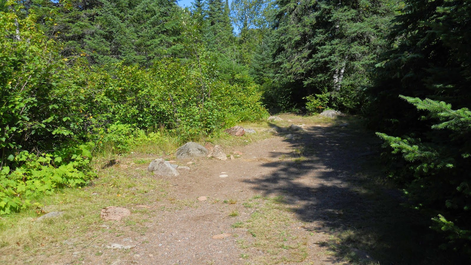 National Forest Camper Wilson Lake Campground