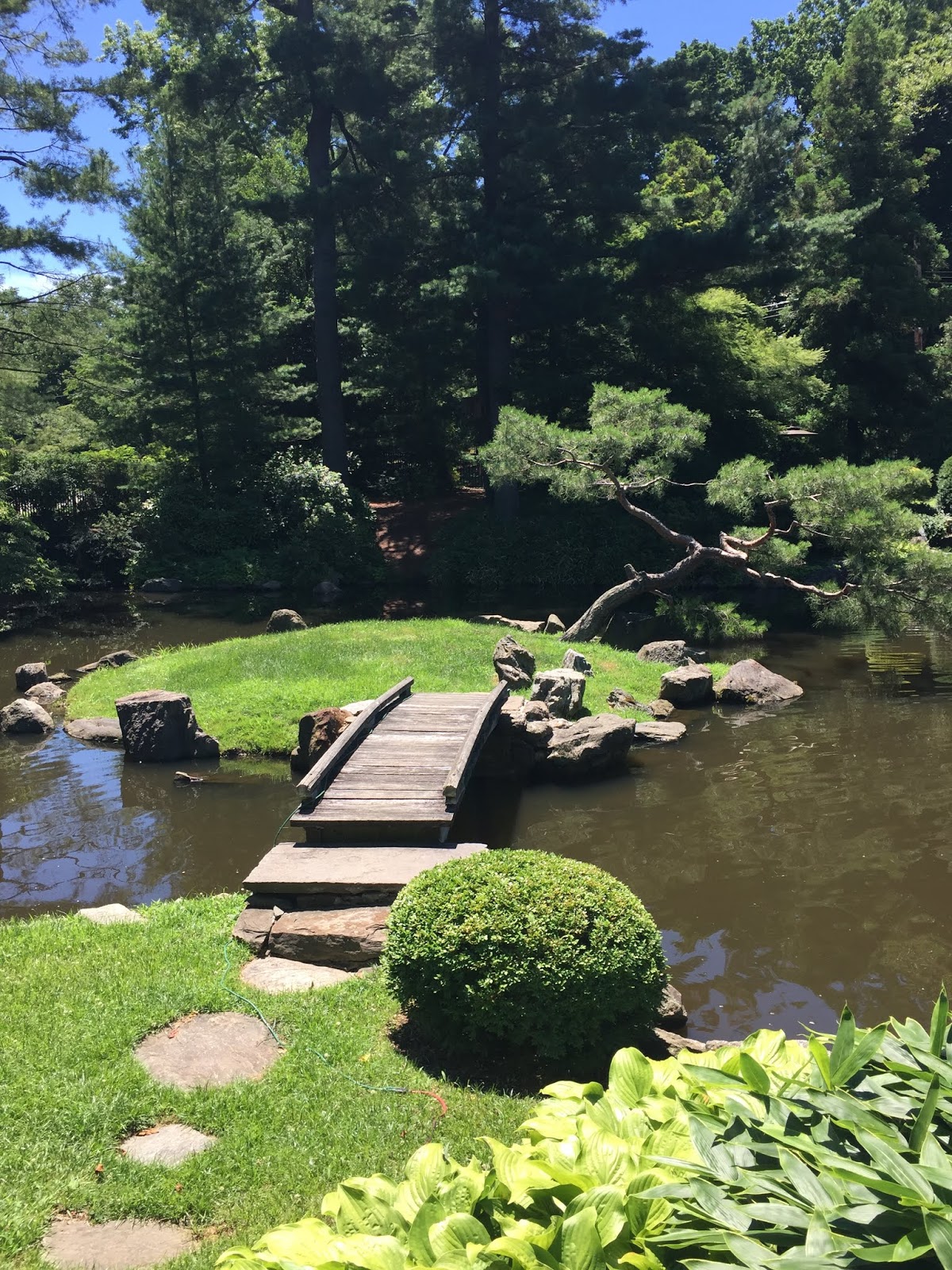 Serenity is Mine to Keep Beautiful days, Serenity and Zen Gardens