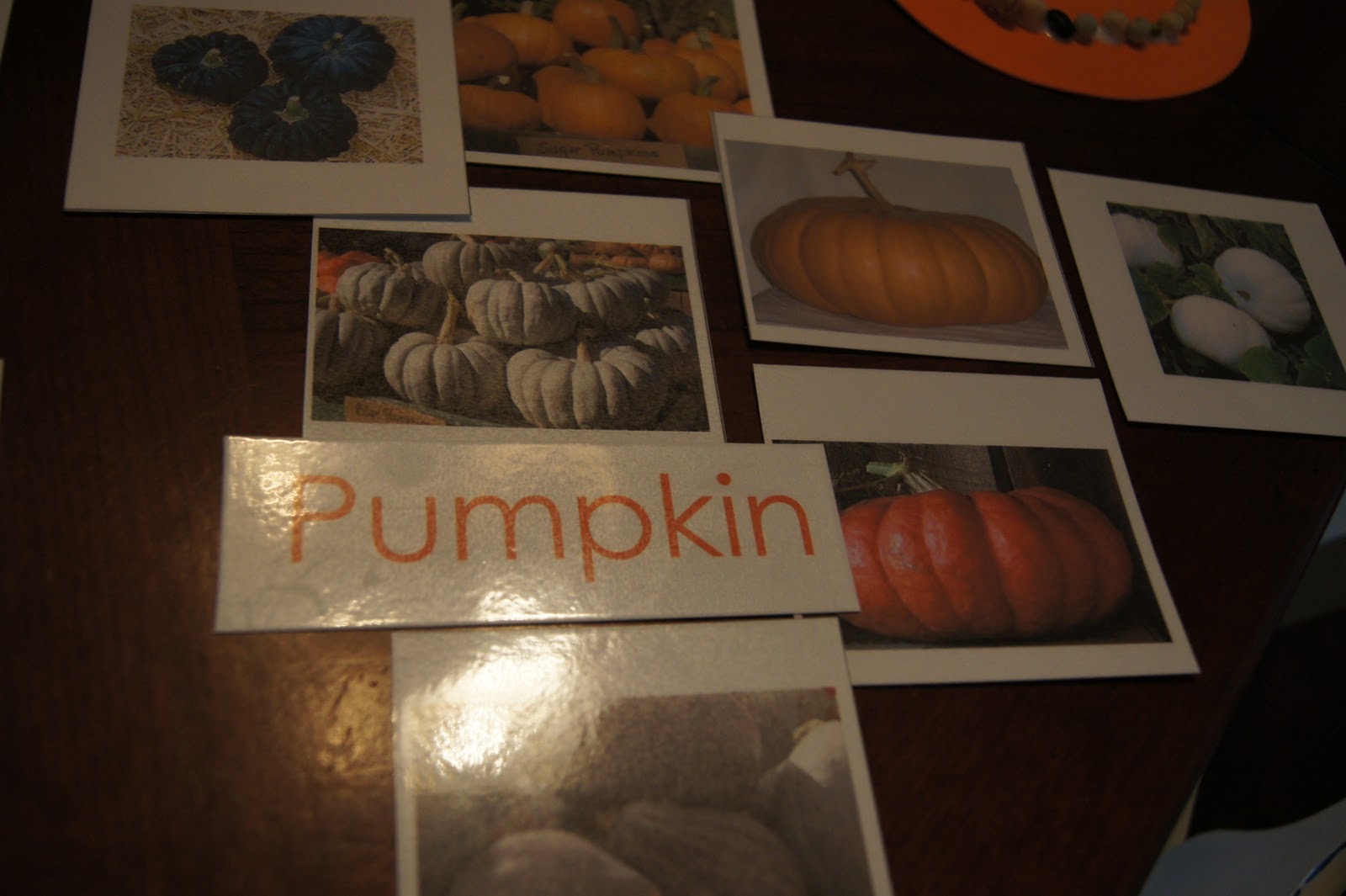 Pumpkin, Squash & Gourds, In The Garden At Home, Sorting