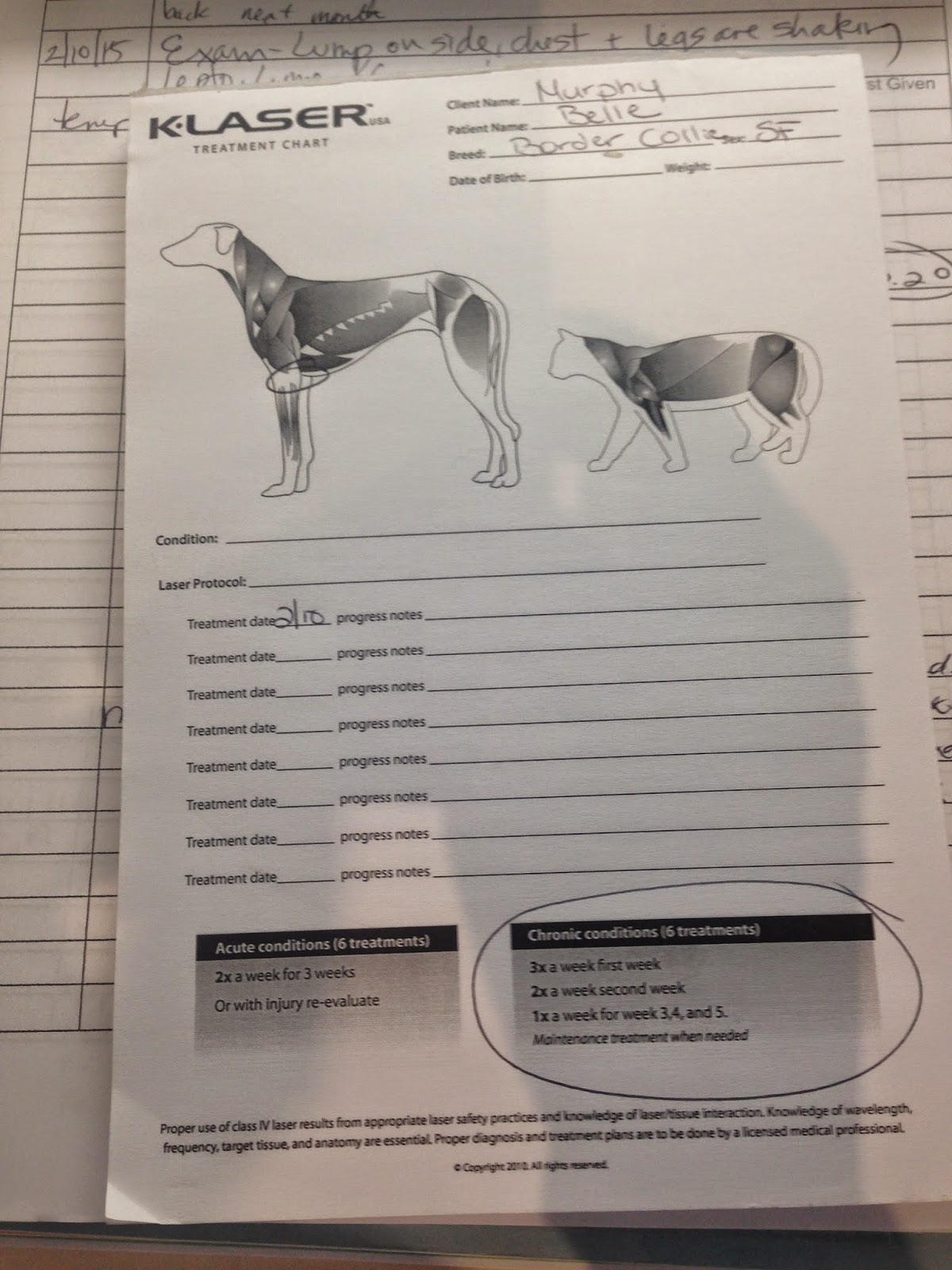 Diary of a RealLife Veterinarian Decubitus Ulcer, Pressure Sores/Bed