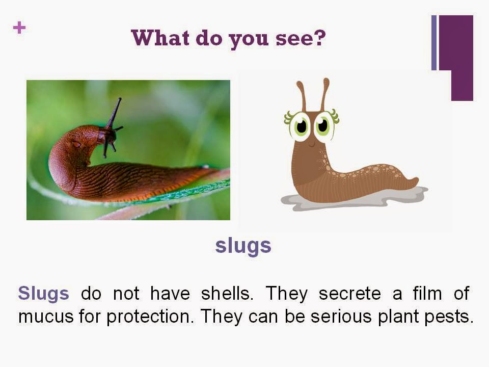 Is Slither A Verb _ slither verb – CGNPEB