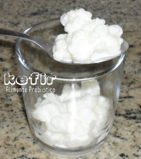 Kefir Alimento Probiotico