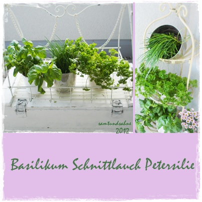 samtundsahne: DREI!! mein mini kräutergarten...