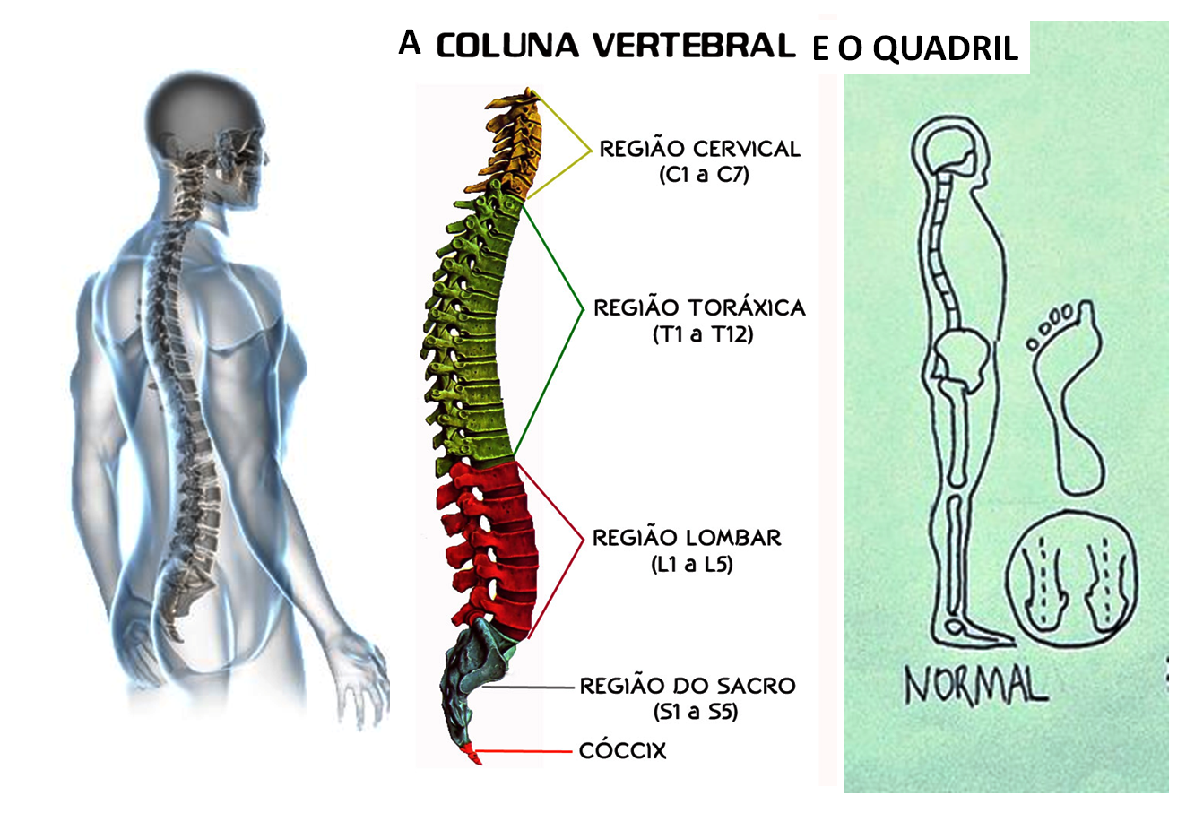 tensão muscular na região lombar e quadril