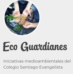 Eco Guardianes