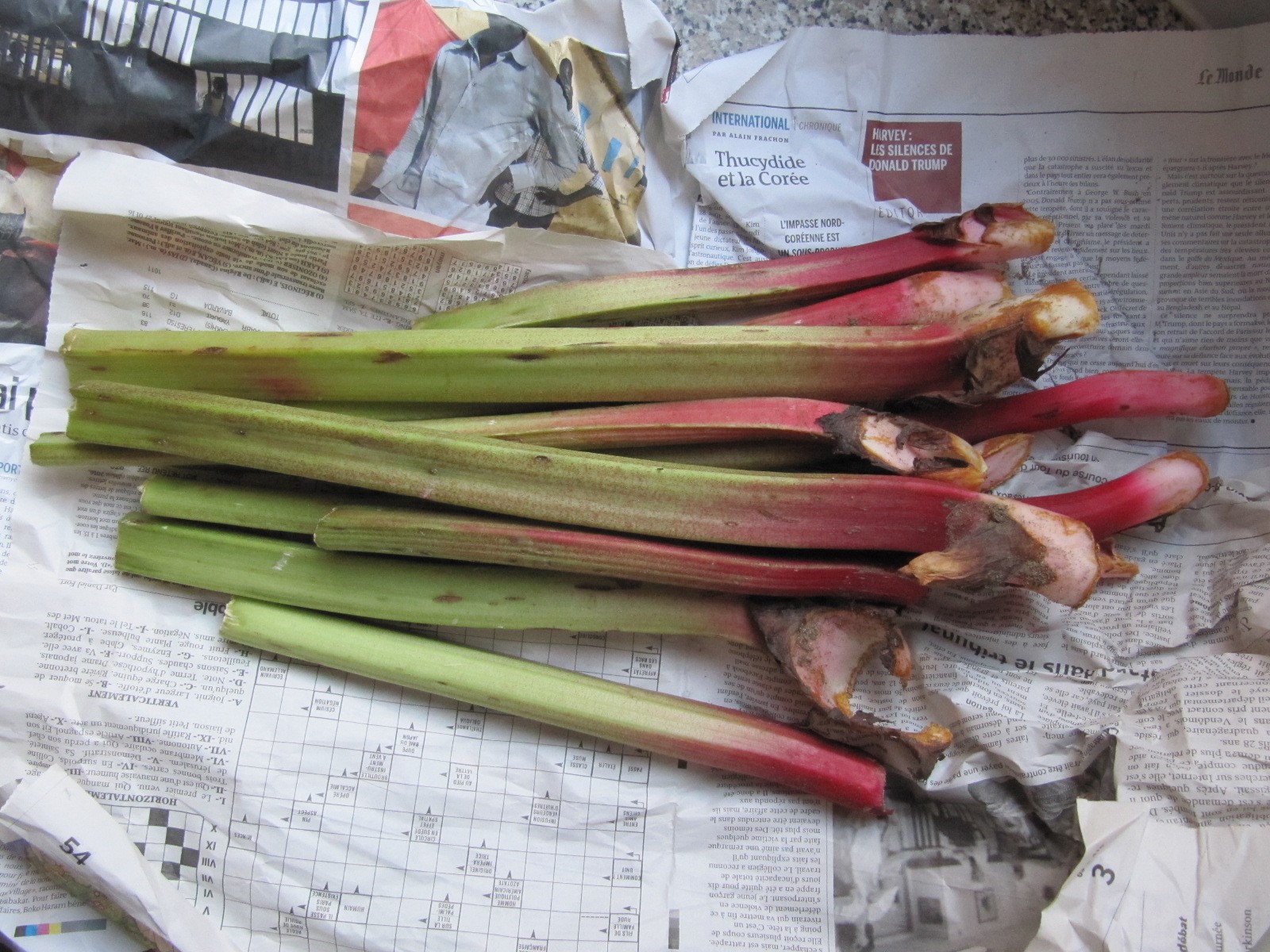 La cuisine d'ici et d'ISCA Compote de rhubarbe aux abricots