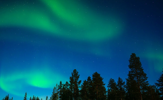 Northern Lights over a Lapland forest