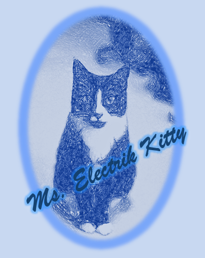 Ms. Electrik Kitty