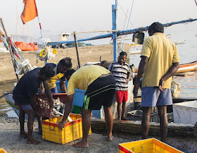 fish, catch, boat, worli jetty, mumbai, india, fishermen, 