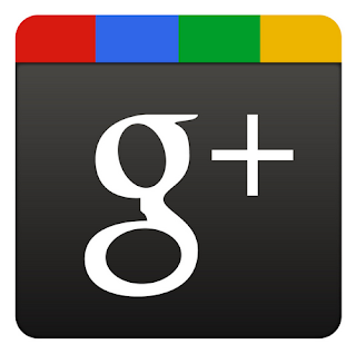  Google+