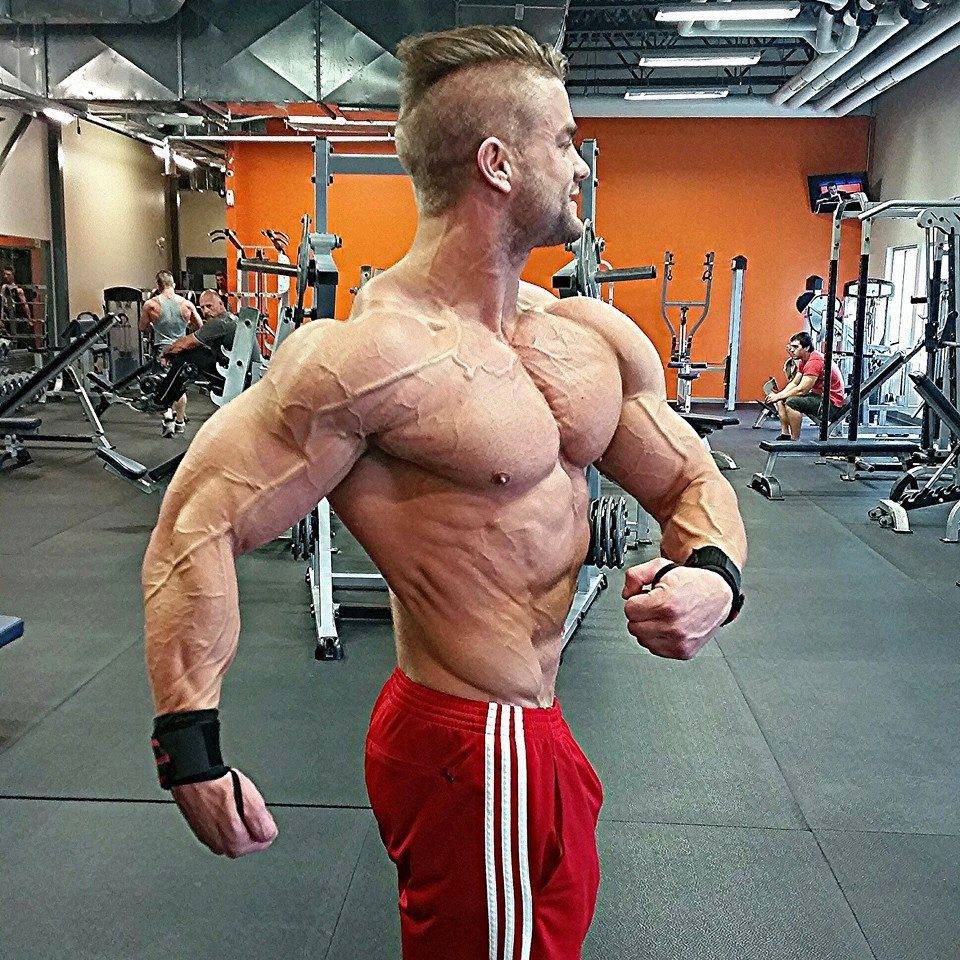 MUSCLE ADDICTS INC: MUSCLE PIC COLLECTION #37 - NOTHING BUT BEEF!