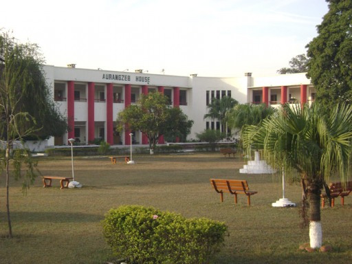 air force cadet college