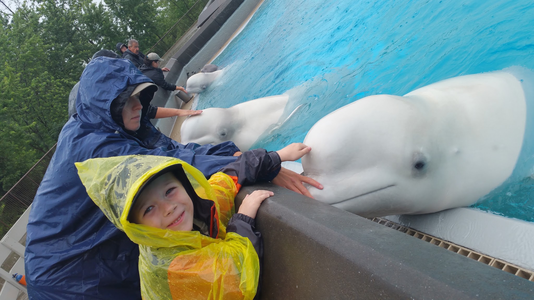Marineland Marineland