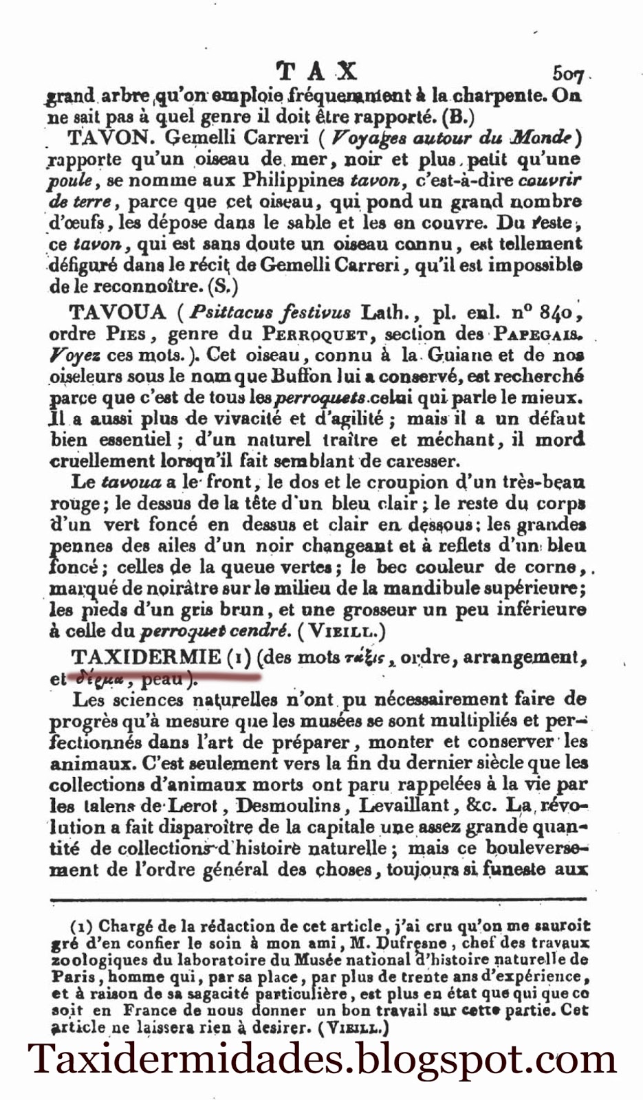 Taxidermidades agosto 2012