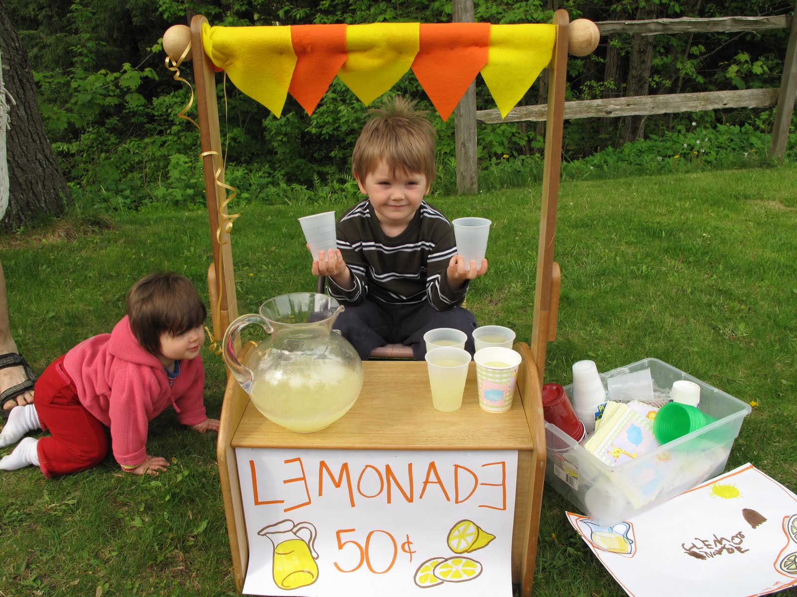 Primary Learning Logs Lemonade Stand