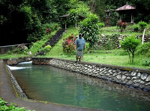  is an organisation owned past times the farmers inwards Bali that specifically regulates H2O managem Bali Travel Attractions Map and Things to do in Bali: Subak: Bali Traditional Water Management System (irrigation)