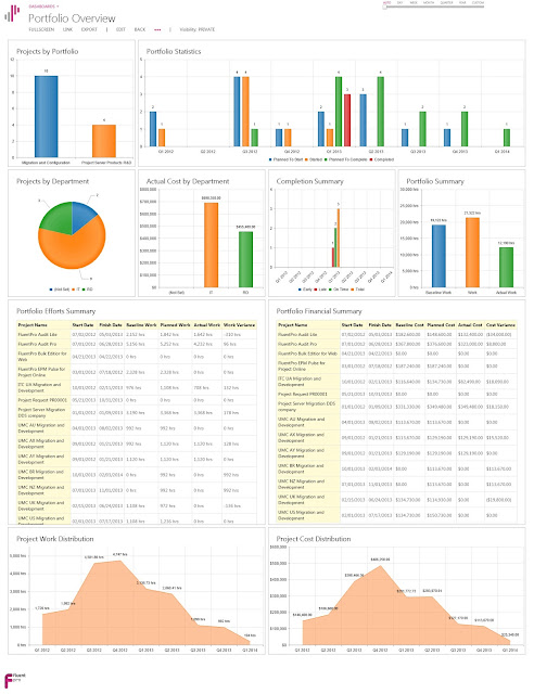 Microsoft Project Server / Online Implementer