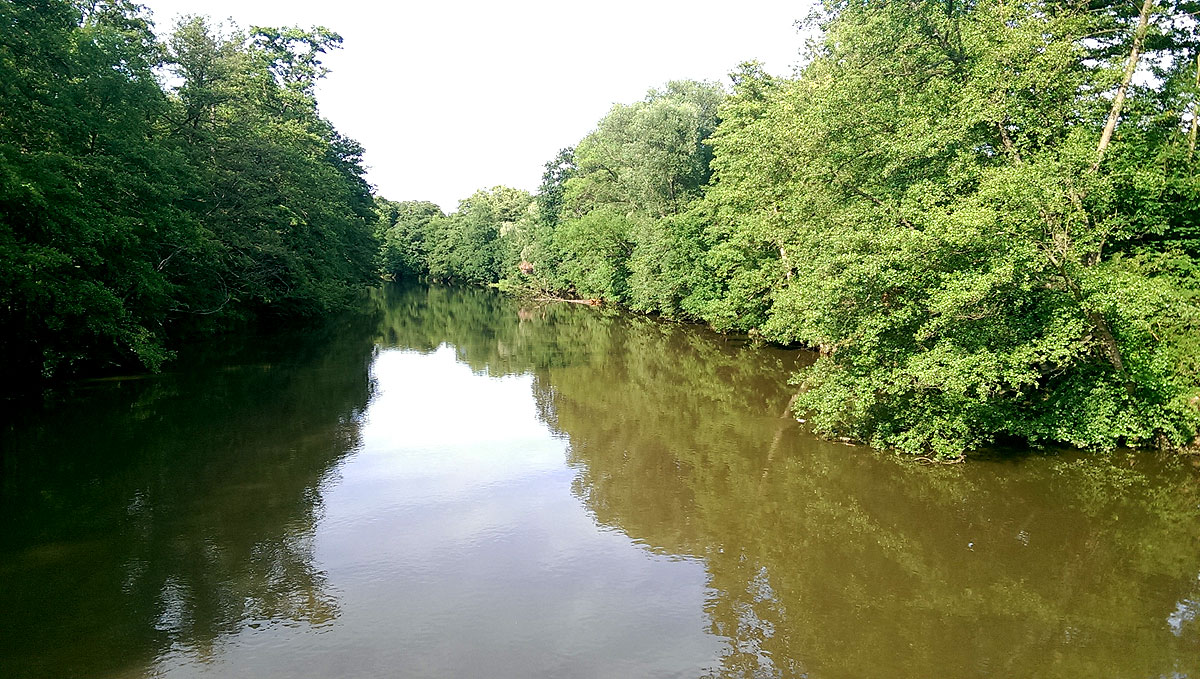 Jena In Voll 3d Mit Dem Neuen Googleearth Wird Seit 15 06