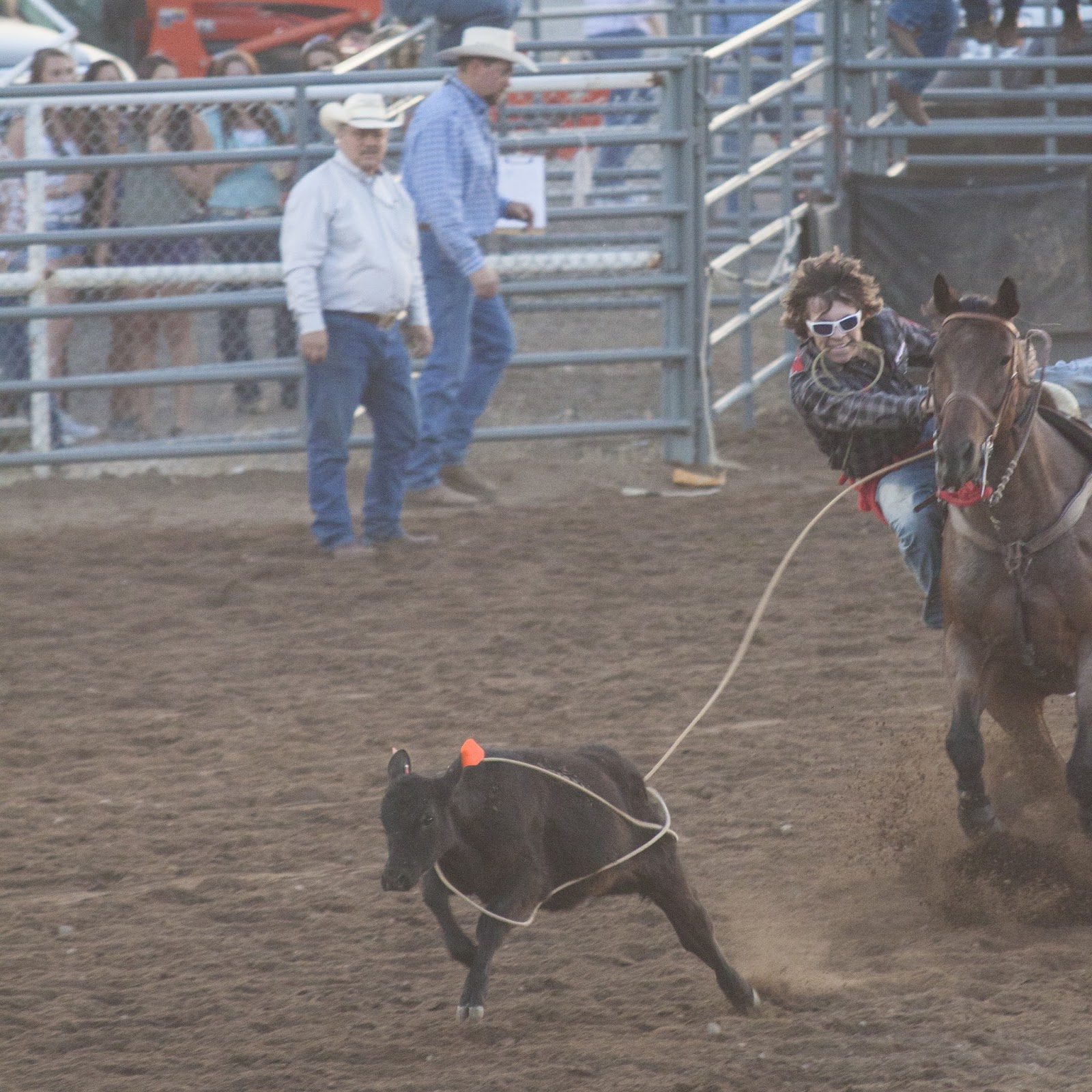 Rosemary Card Film & Photography Kamas Fiesta Days Rodeo