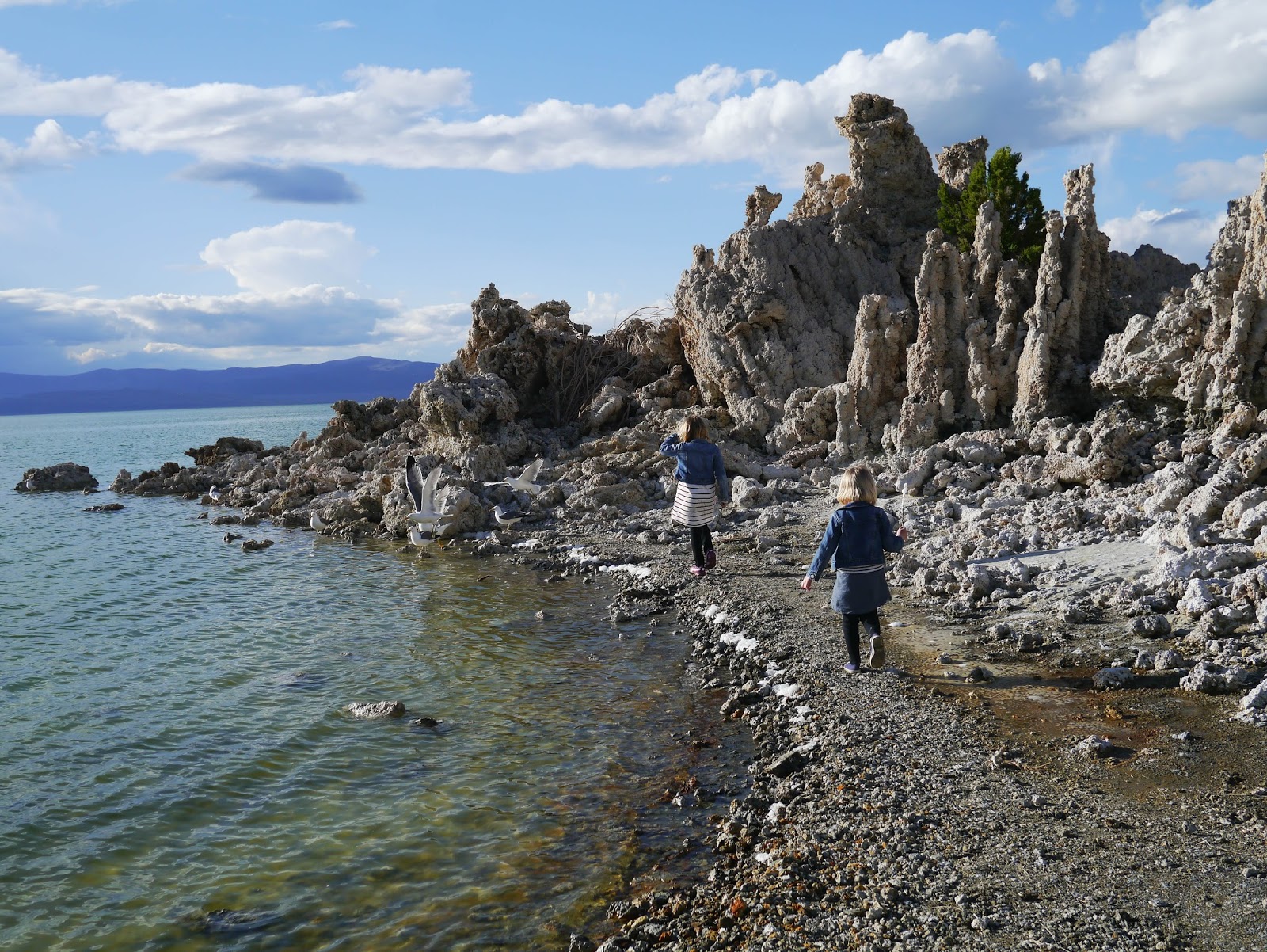 Little Hiccups Mono Lake