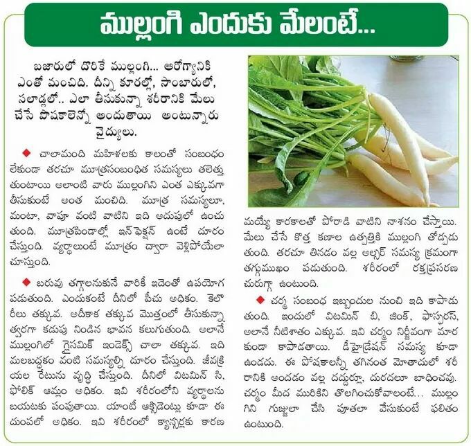 TELUGU WEB WORLD VEGETABLE MULLANGI HEALTH BENEFITS IN TELUGU