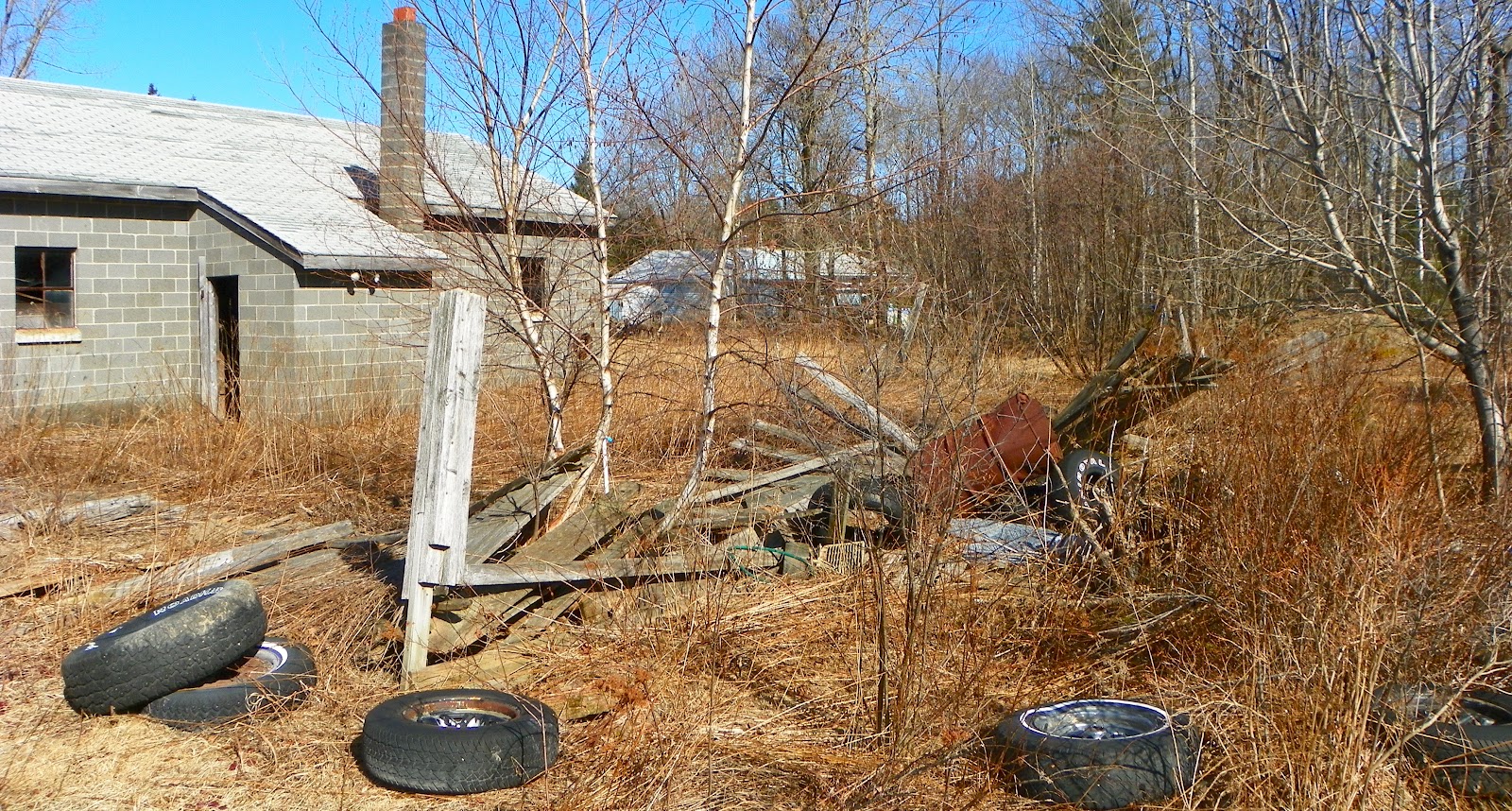 Only in The Republic of Amherst Polluted Library vote