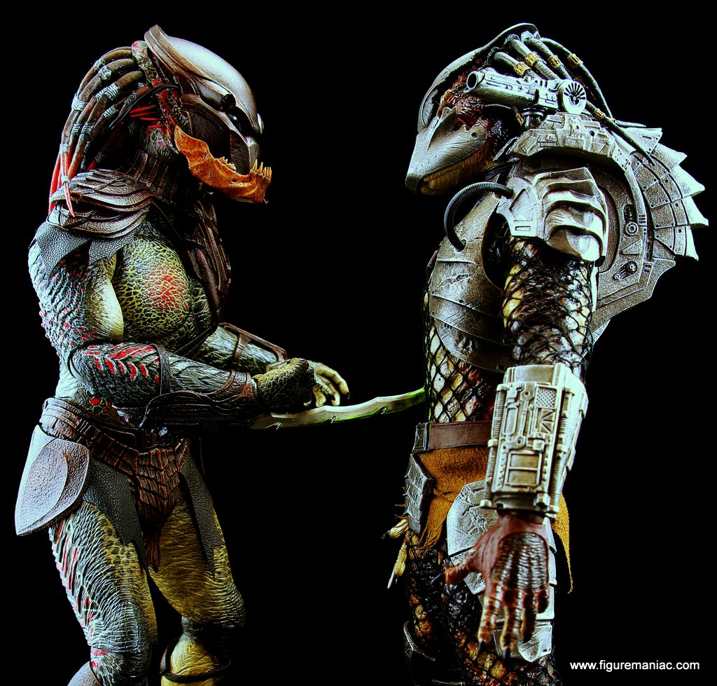 Картинки хищника шрама