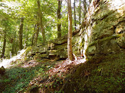 Rock Face in Woods. Around Ohio. Rock Face in Woods