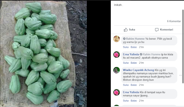 pengobatan miom secara alami tanpa operasi