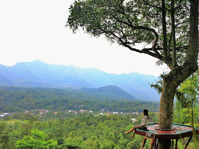 Lokasi Dan Rute Ke Bukit Mendelem Pemalang