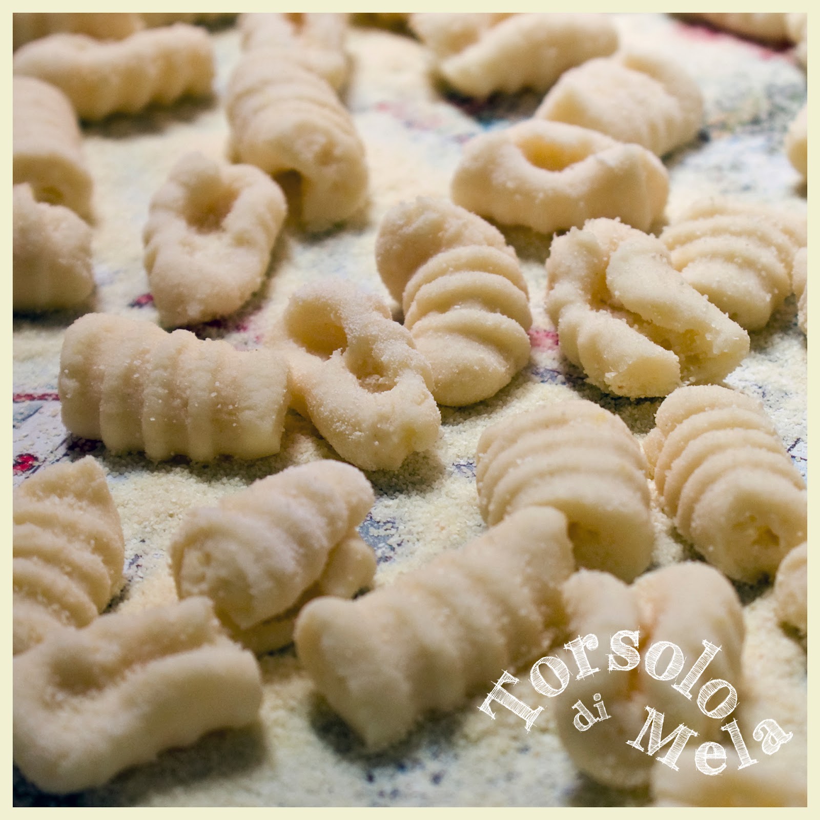 Torsolo di mela GNOCCHI DI PATATE l'impasto perfetto