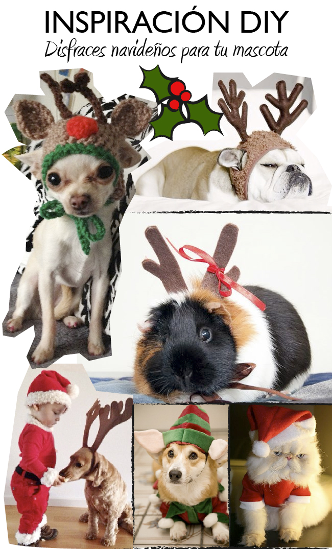 medias Egoísmo En el piso Dare to DIY: DIY Navidad: Disfraz de reno para tu perro