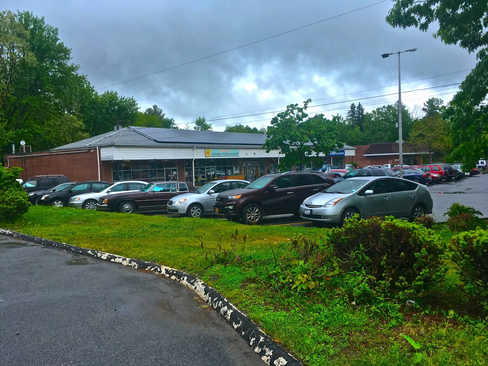 Snapshot Sunflower Natural Foods Market Woodstock, NY