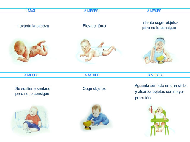 desarrollo motor de 5 meses desarrollo motor de 5 meses