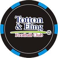 TOTTON & ELING FC
