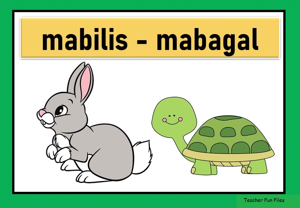 Mabilis At Mabagal Na Hayop - Brazil Network