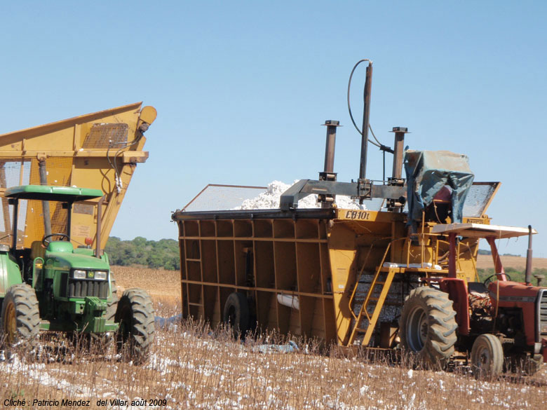 Histoire Géo & É. civique au Collège Jean L'agriculture du Brésil, une agriculture Histoire Géo & É. civique au Collège Jean L'agriculture du Brésil, une agriculture