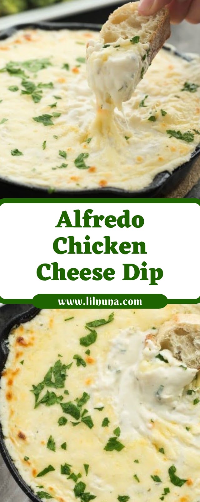 Alfredo Chicken Cheese Dip