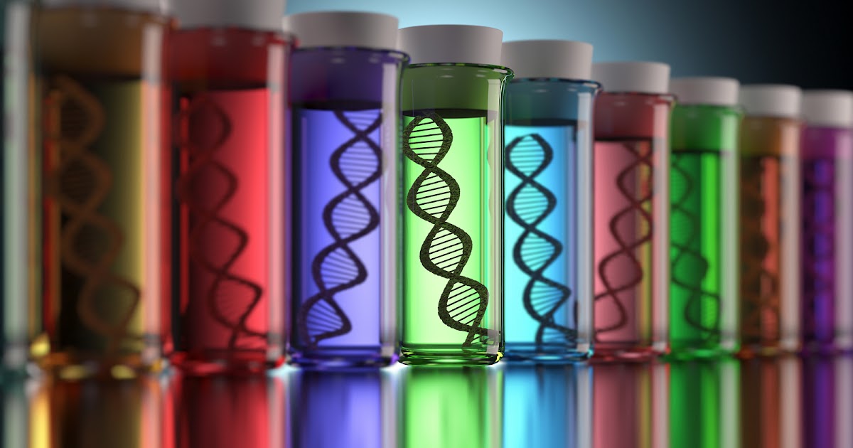 Exercícios de genética: Conceitos Básicos | Bio Nota 10